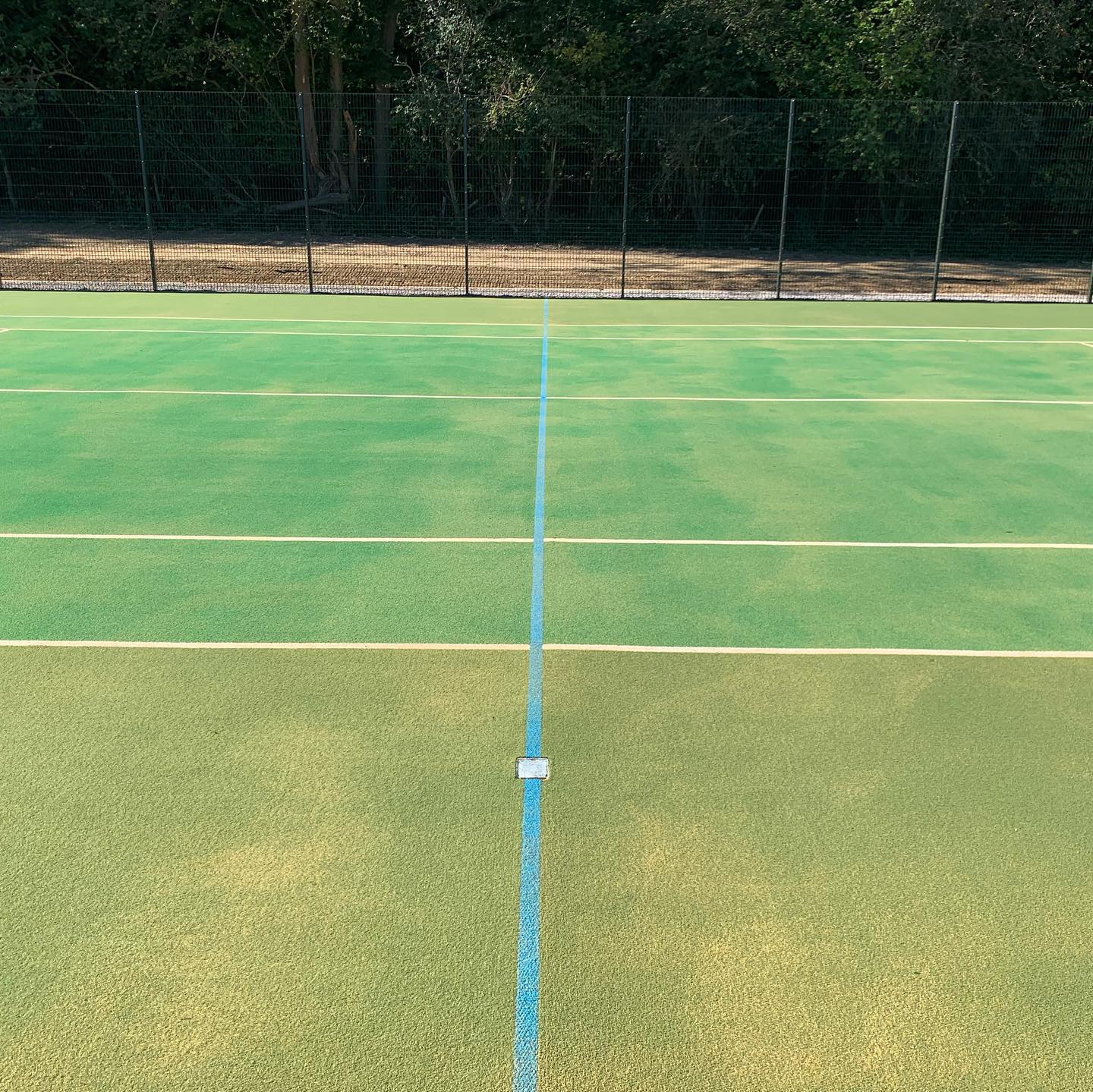 Bromley Case Study